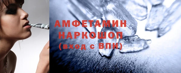 мет Алексин