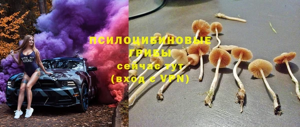 мет Алексин