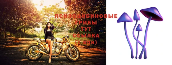 бошки Алзамай