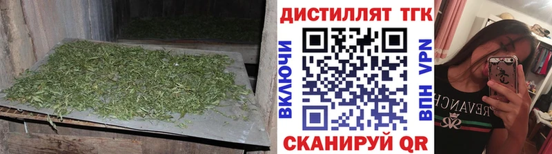 магазин    Аргун  ТГК THC oil 