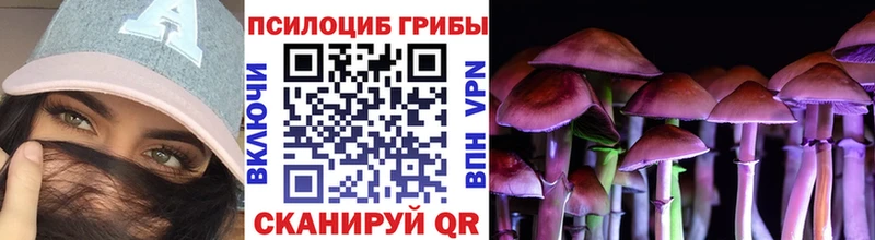 наркотики  Аргун  Псилоцибиновые грибы Magic Shrooms 